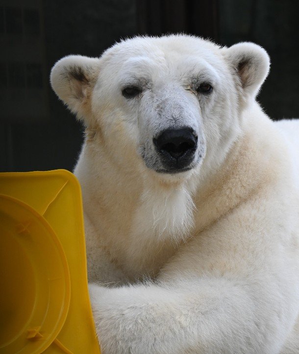 出所：@tobezoo.official