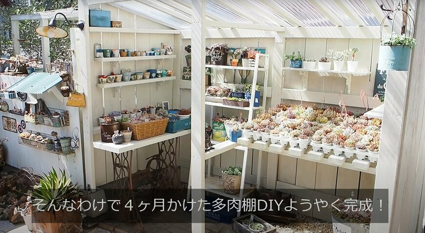 出所：@oliveandsucculentgarden