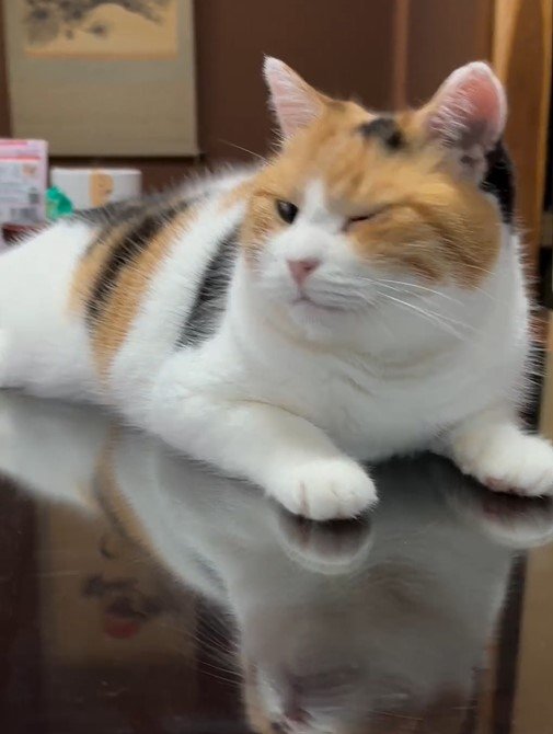 出所：@mike_noritama