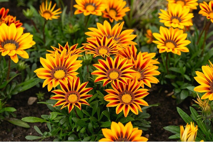 Maksims Grigorjevs/istockphoto.com