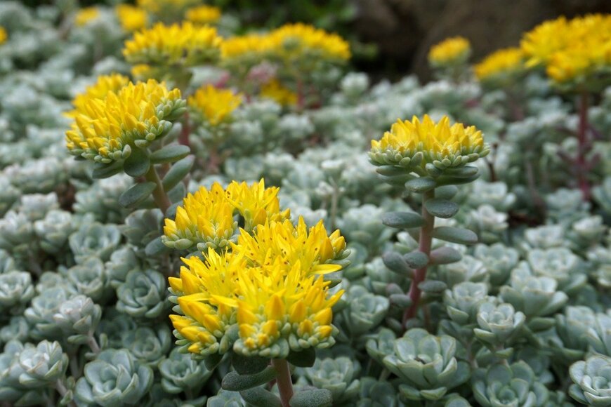 David Barratt/istockphoto.com