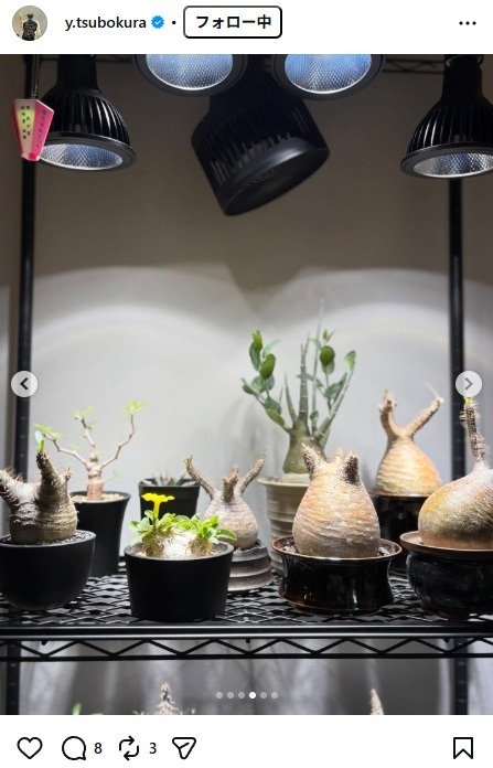 出所：坪倉由幸のInstagram（＠y.tsubokura）　参照日：2026年4月14日