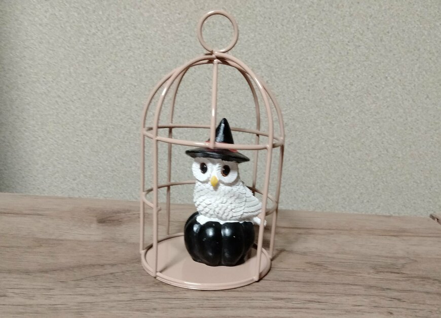 筆者撮影（ダイソー、ハロウィンアイアン小物（ナチュラル）・ハロウィン置物（アニマル））