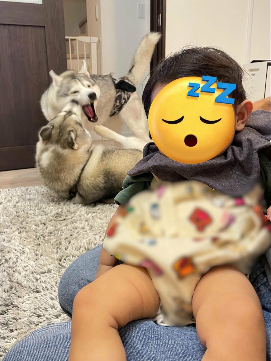 出所：@5rose_husky