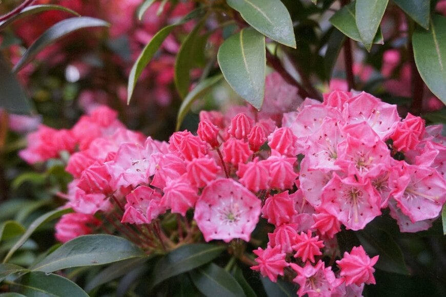 lenic/shutterstock.com