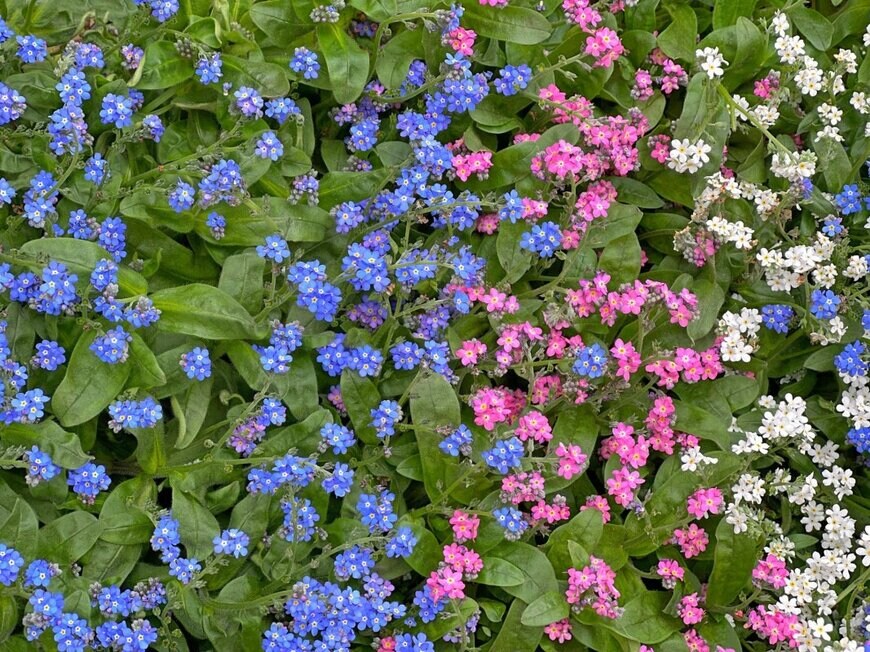 lialina/shutterstock.com