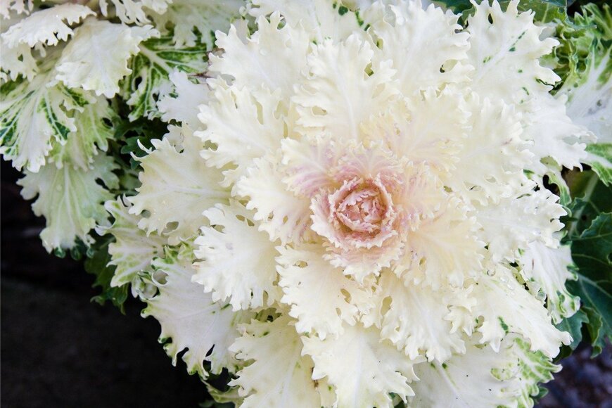 jatrax/istockphoto.com