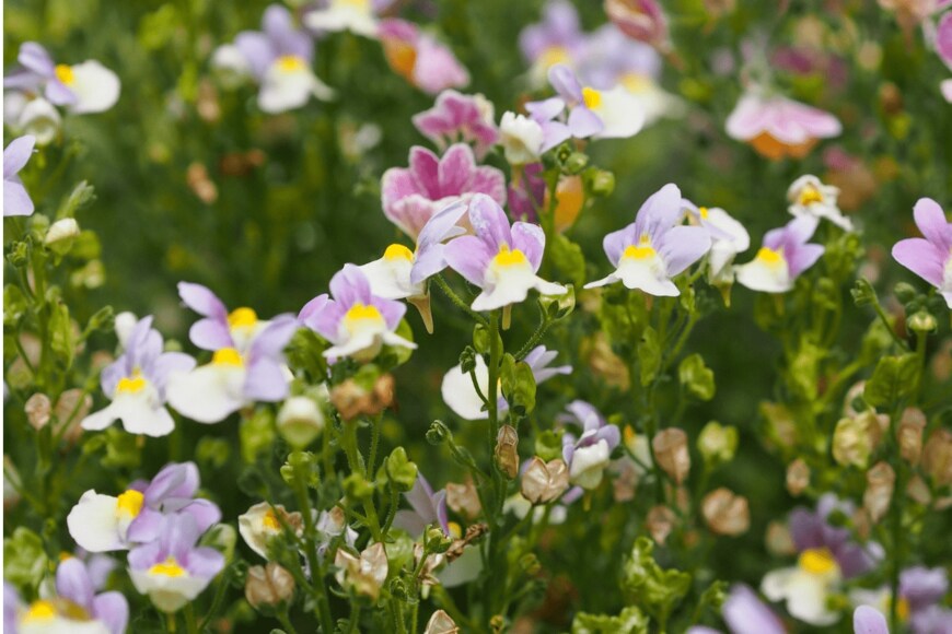 Sungsu Shin/istockphoto.com