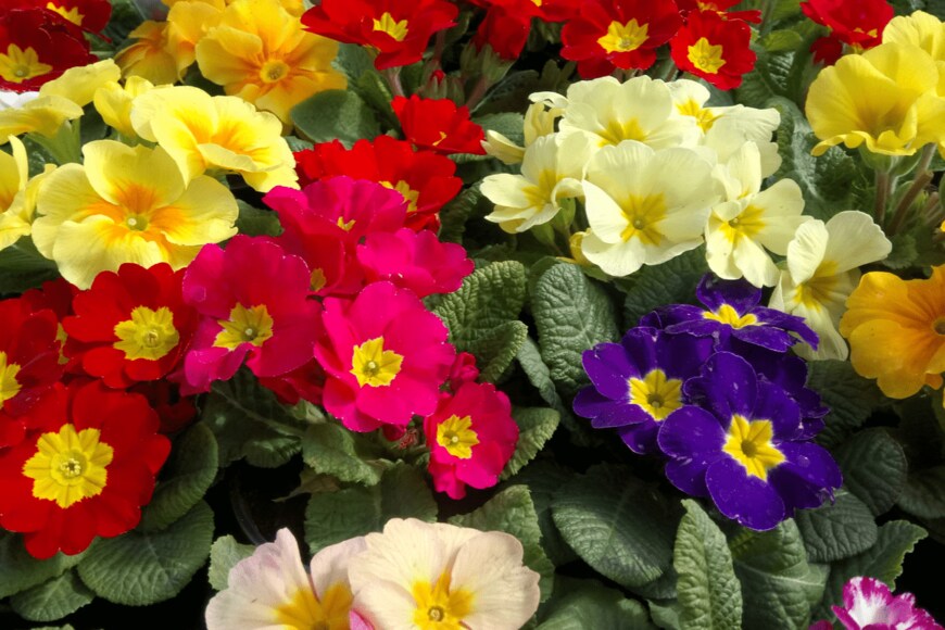 Mactadilis/istockphoto.com