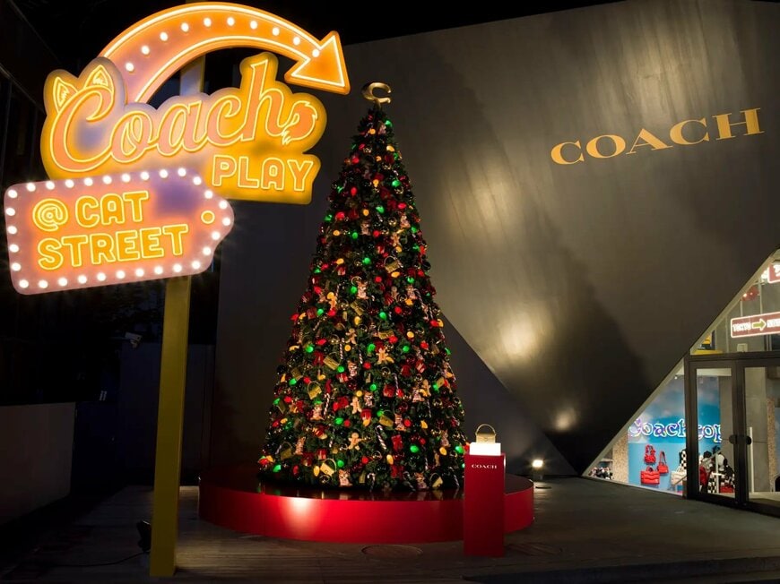 出所：タペストリー・ジャパン合同会社「コーチが贈る、心温まるホリデーシーズンがスタート 中島健人、コーチ プレイ＠キャットストリートのクリスマスツリー点灯式に登場」