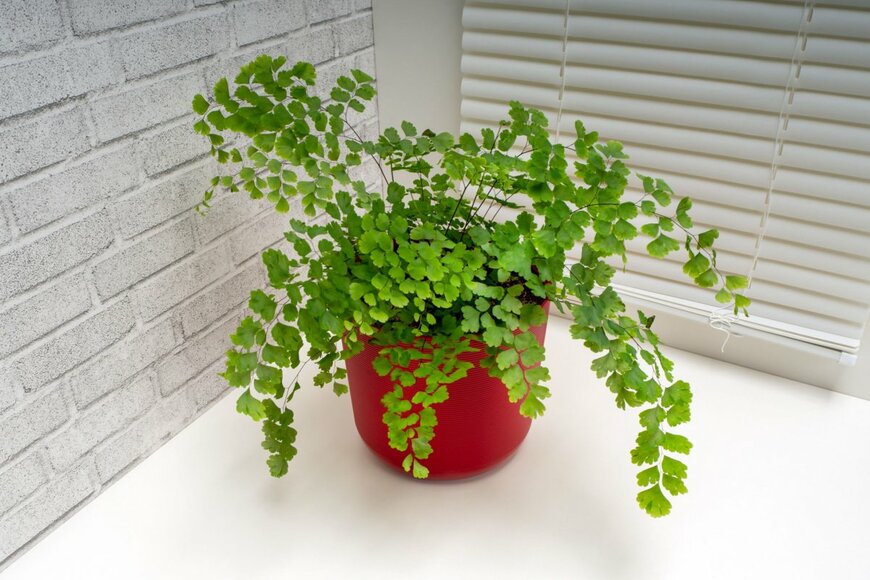 Elzloy/shutterstock.com