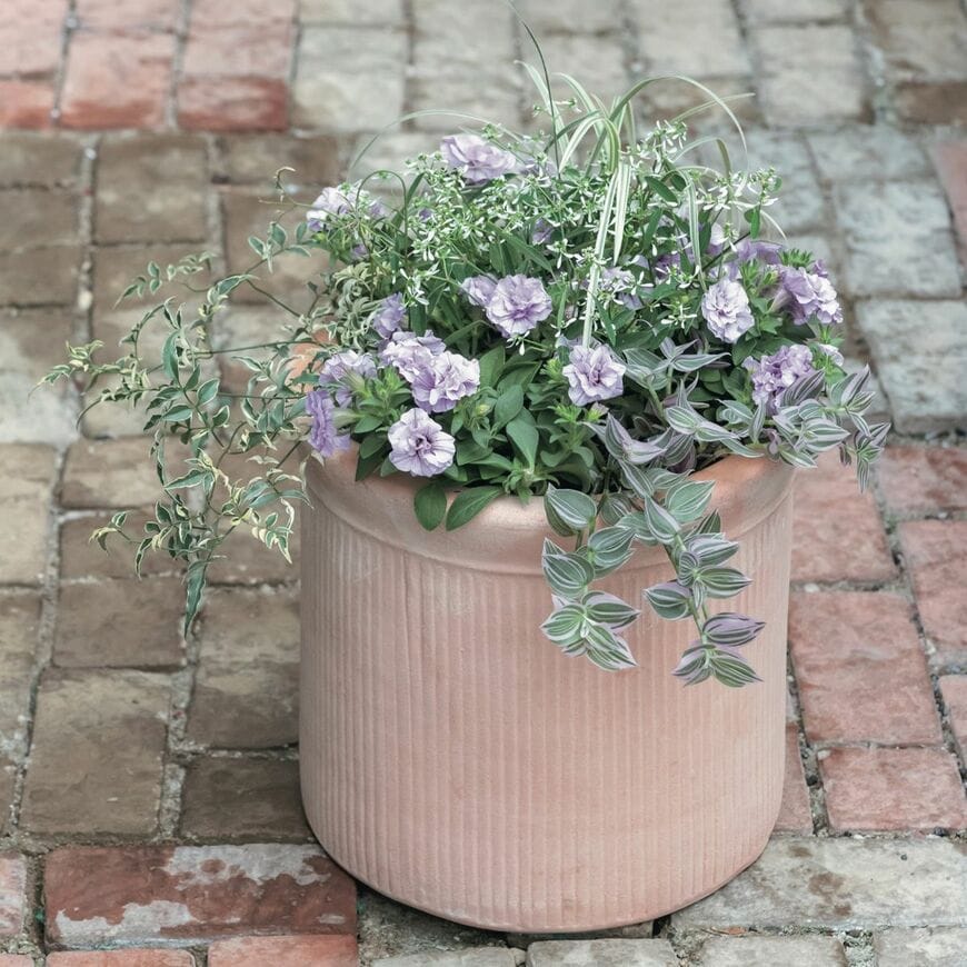 今から長く花を楽しめる！素敵な〈寄せ植えアイデア〉2つ。「ラベンダー色×白で上品」＆「4苗で華やか！」どちらもおしゃれ！