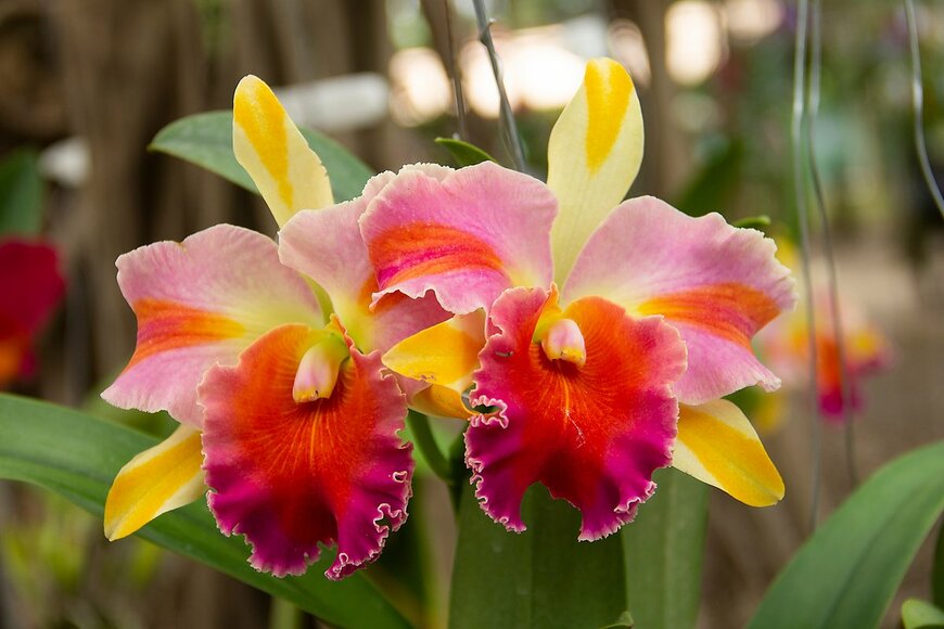 drsuntzu/shutterstock.com