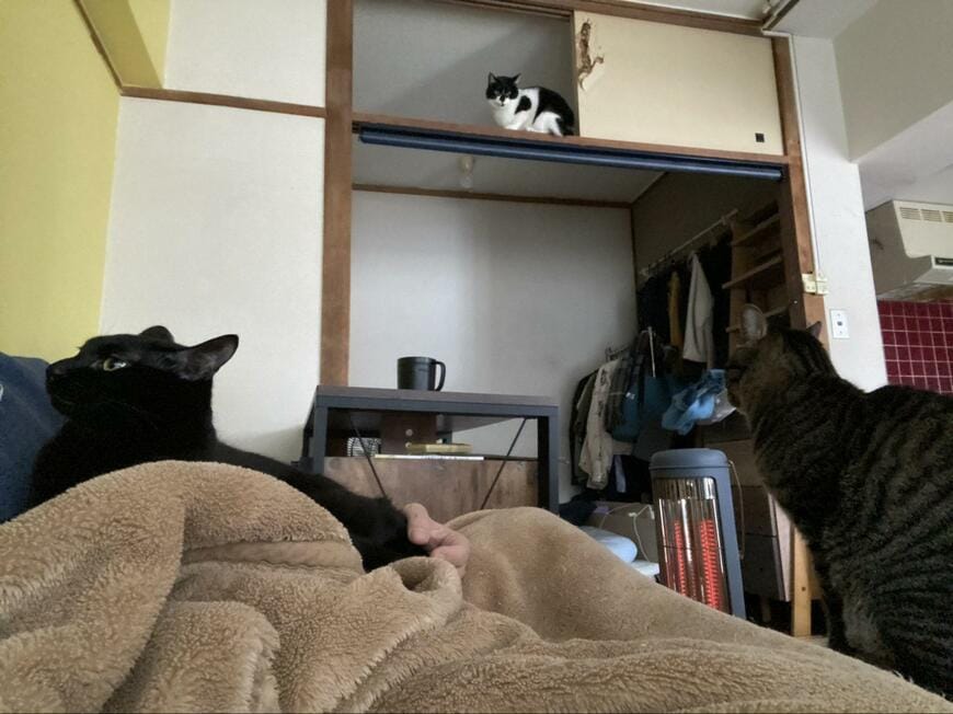 出所：@00shitemita