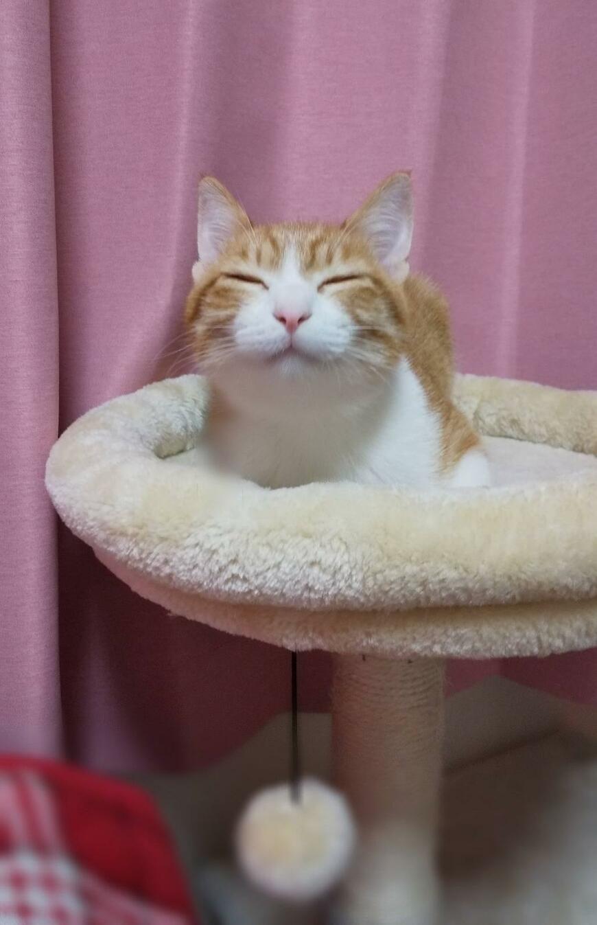 出所：@mero627puri914