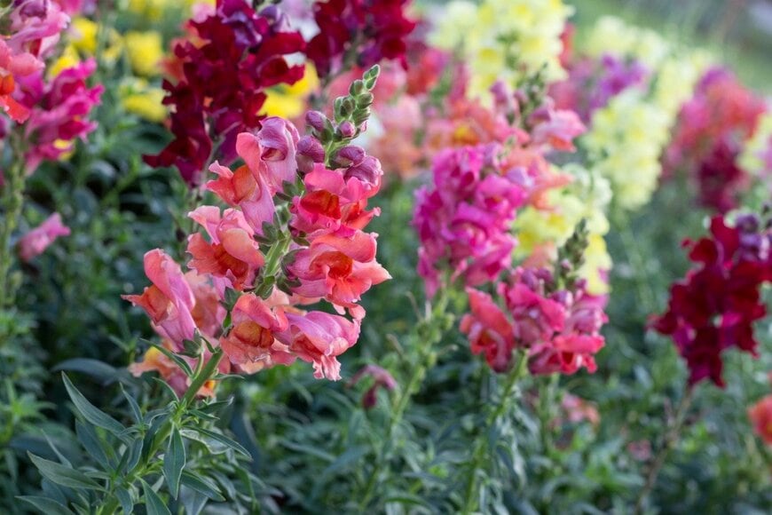 Happygold69/istockphoto.com