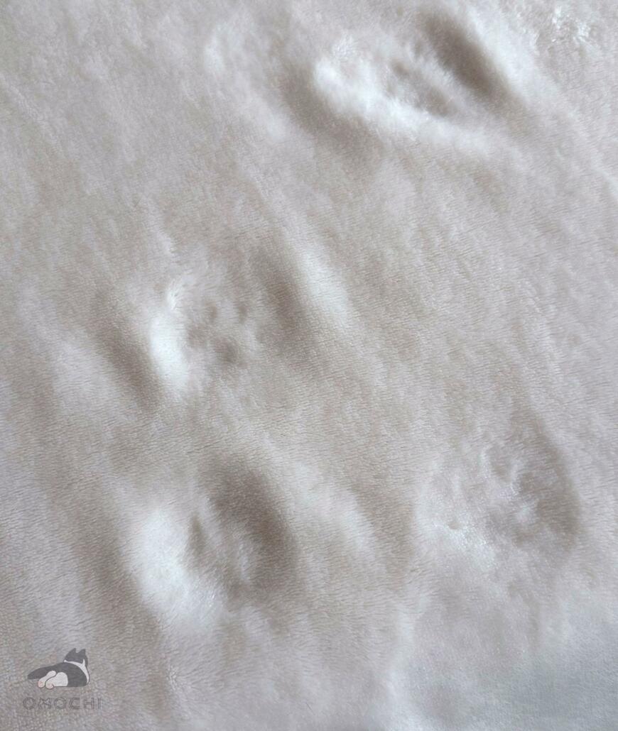 ベッドを整えたら「最高の状態」に！　嬉しすぎる猫の手伝いに1.9万いいね