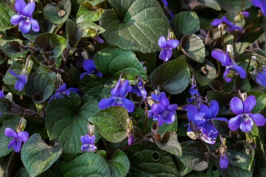 Meindert van der Haven/istockphoto.com