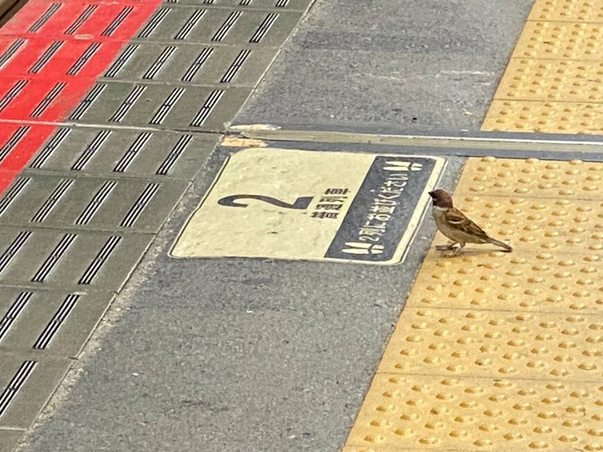 出所：@ainokaze_train