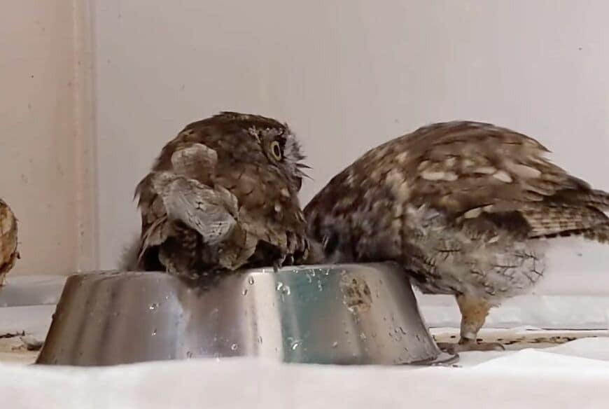 投稿動画のワンシーン