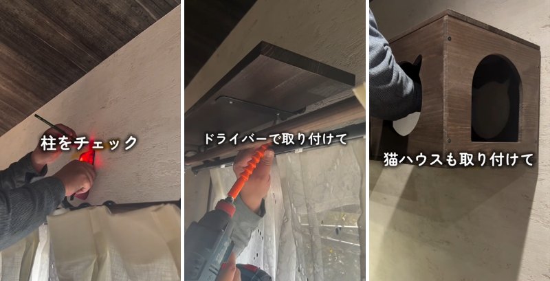 投稿の画像
