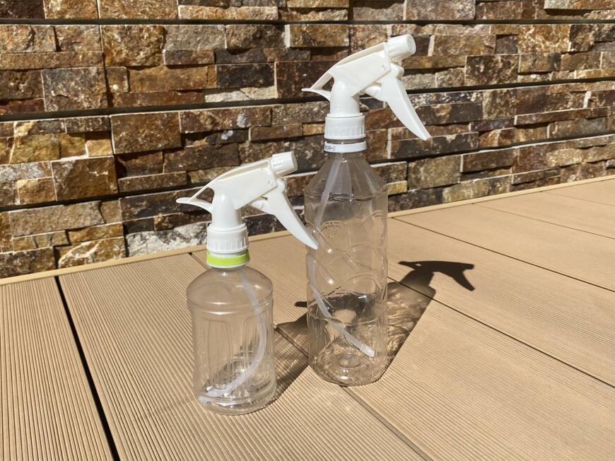 ほうれん草の種まきに初心者が挑戦