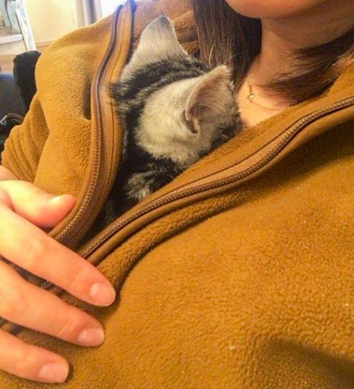 子猫が服に侵入→思わず悶絶の寝顔が7万回表示 「全猫飼いの理想では？」「訳わからん声出た」 | LIMO | くらしとお金の経済メディア