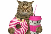 個人事業主・フリーランスが気を付けたい「国民年金の落とし穴」