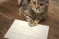 【50歳未満】4月誕生月の人へ「ねんきん定期便が届いたら」必ずチェックしたい《11項目》を解説