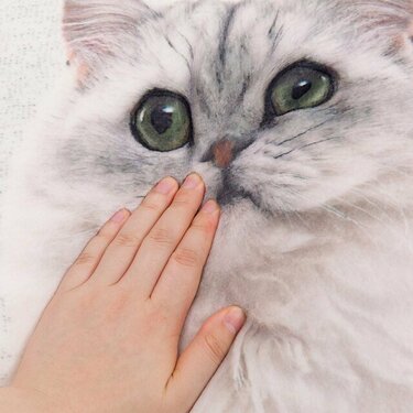 ニトリ】ホンモノの猫かと思った！「ふわふわ猫ちゃんのクッション