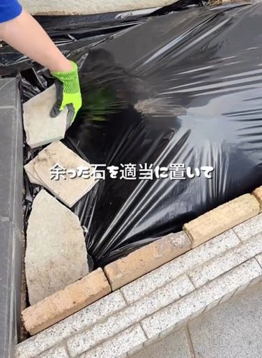 投稿動画のワンシーン