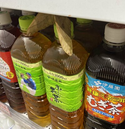 お茶のペットボトルに蛾がとまっている様子