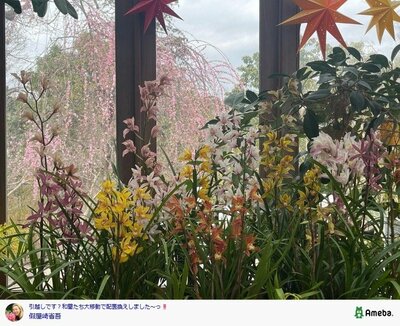 假屋崎省吾の公式ブログ投稿