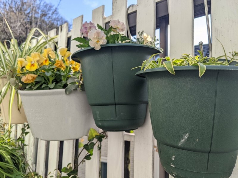 セリア、ハンギング鉢筆者撮影写真