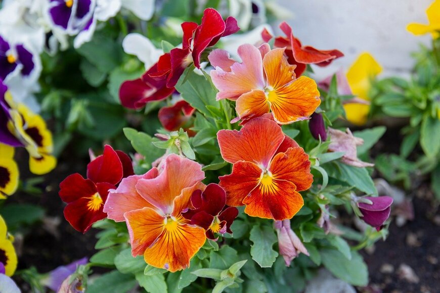 Yasin Caglayan/istockphoto.com