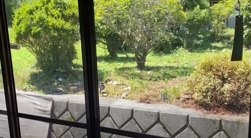 出所：＠happy_seed