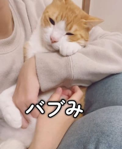 出所：＠miko_nekoneko