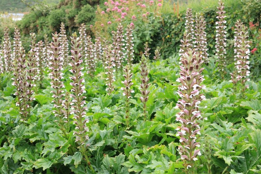 Joseph C/shutterstock.com