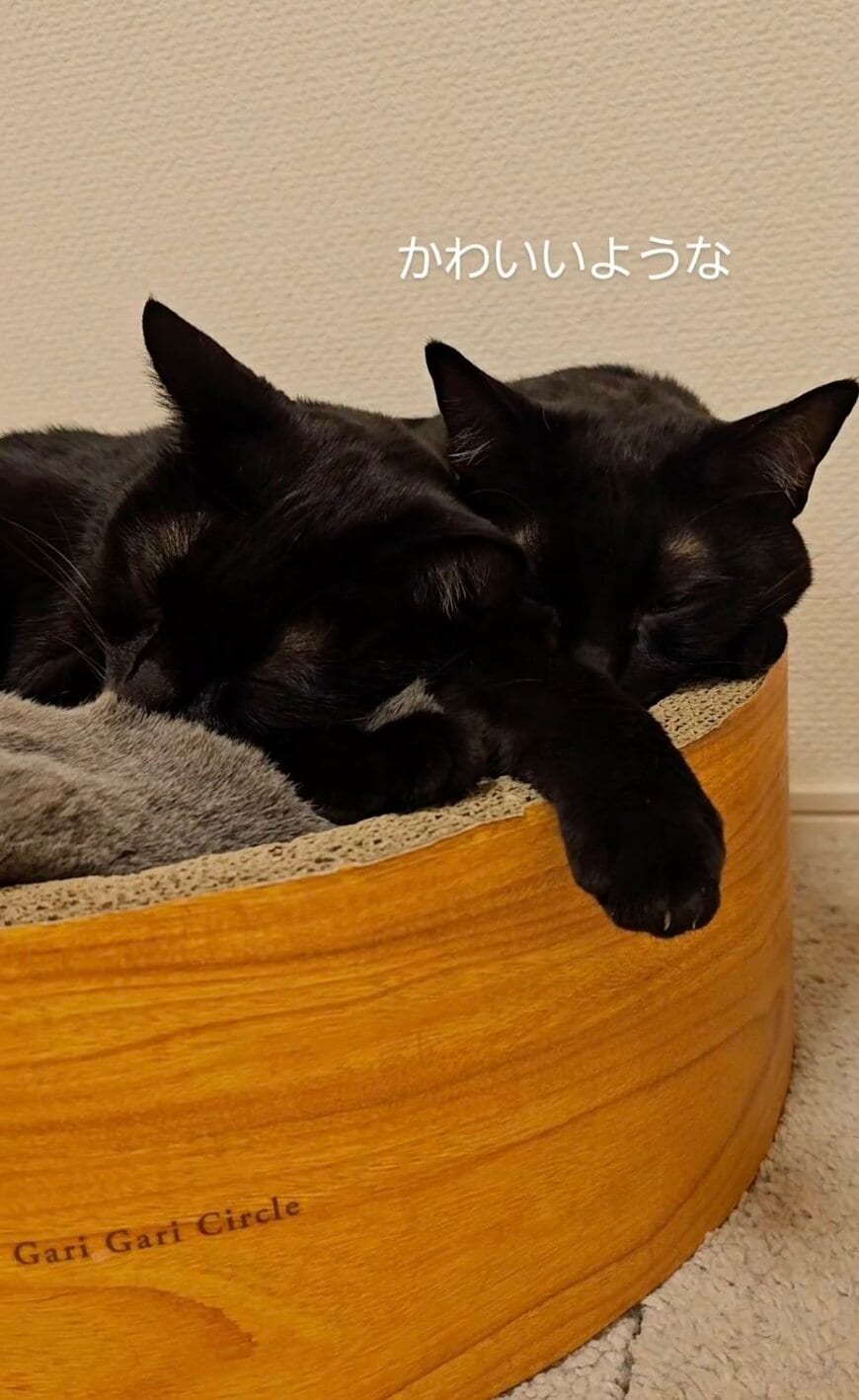 出所： @hukuhukuhappi