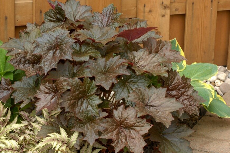 SkyF/istockphoto.com