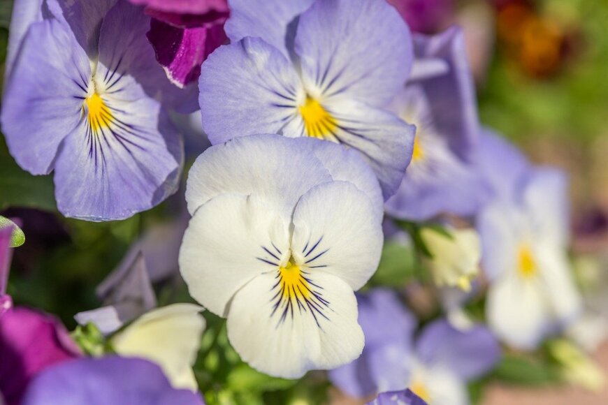 Christian Decout/istockphoto.com