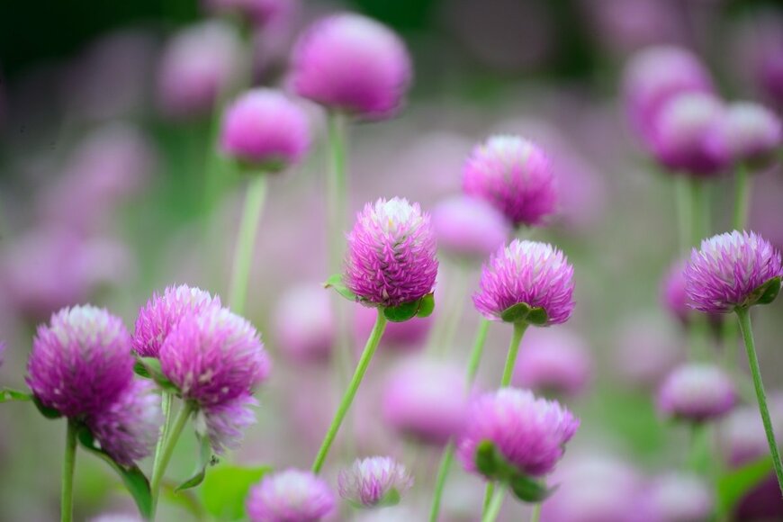 songsak/shutterstock.com