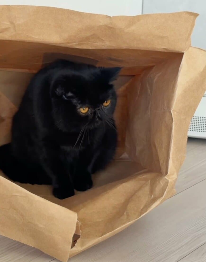 出所：＠kotetsu_0420