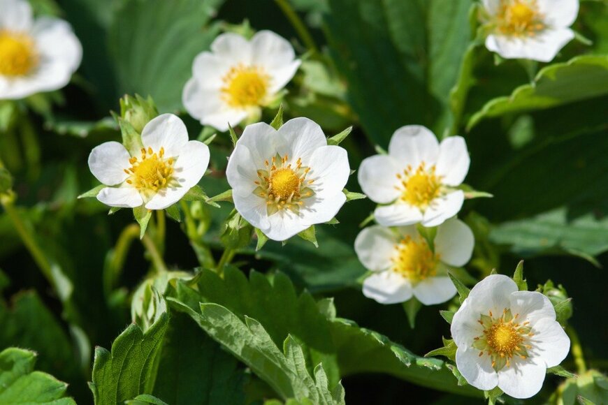 Nadya So/istockphoto.com