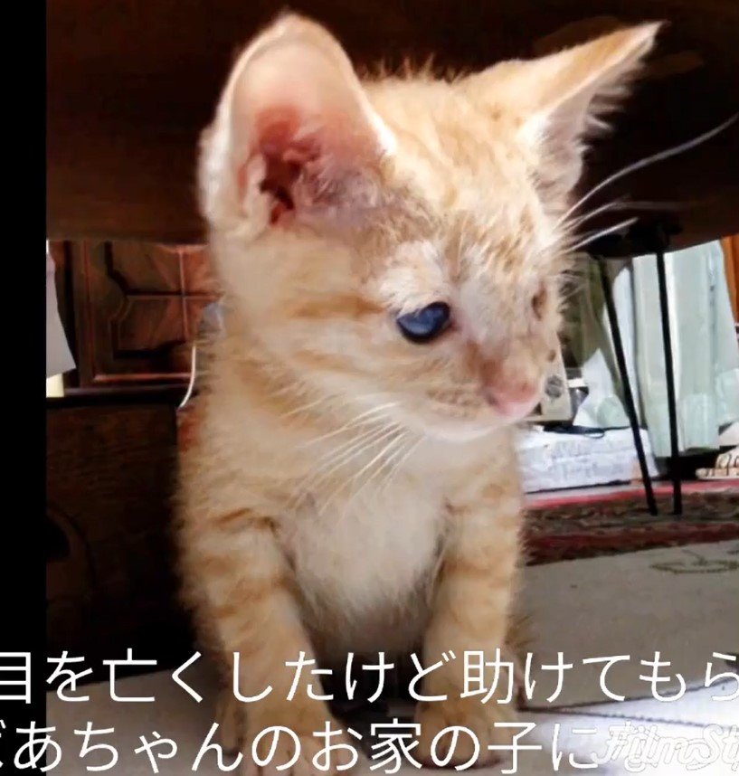 出所：@luna7taka9