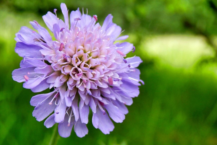 PlazacCameraman/istockphoto.com