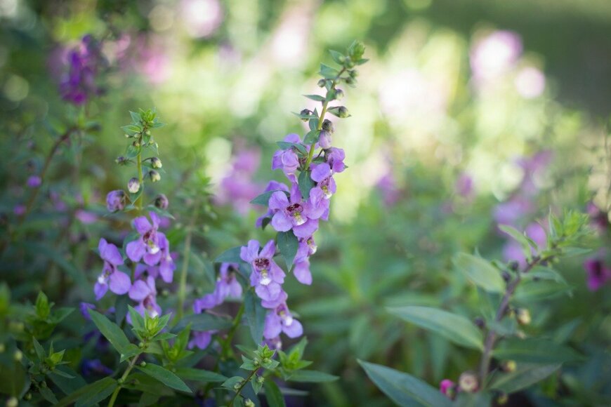 judasstocker/istockphoto.com