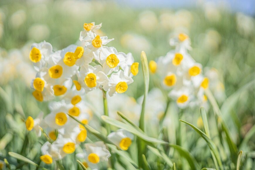 Eikichi Takeda/istockphoto.com