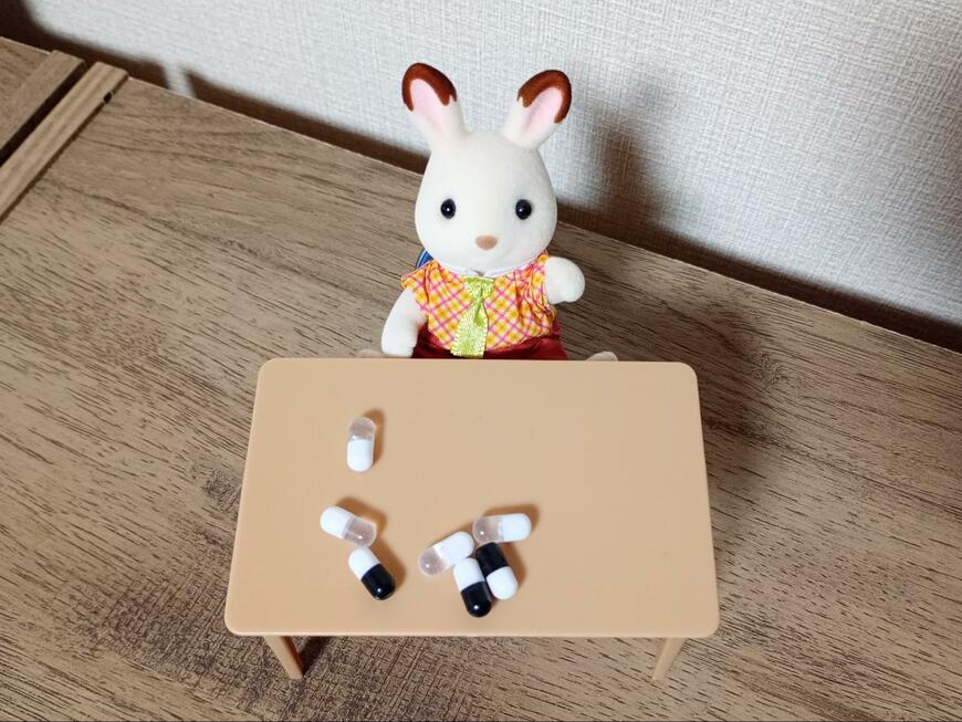 筆者撮影（セリア、3959 ぬい用 おくすり 8P）