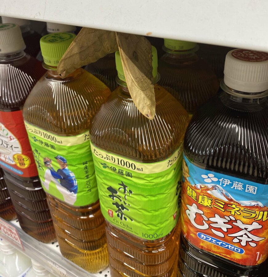 お茶のペットボトルに蛾がとまっている様子